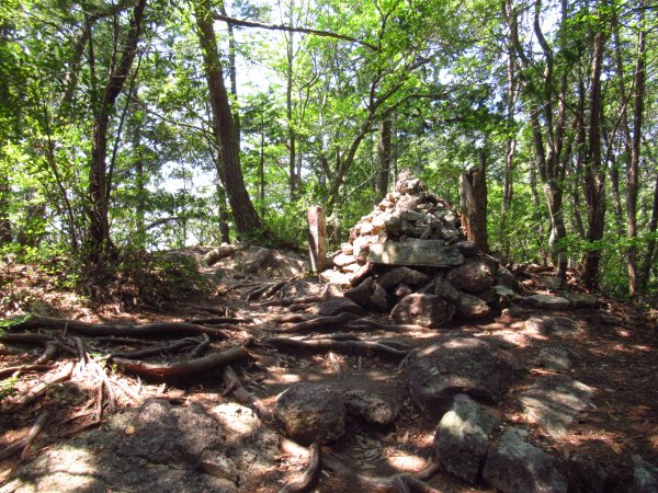 登山道